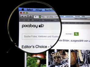 九游娱乐(jiuyou)官网-体育新闻中心发布体育短视频传播效果白皮书，体育短视频成为平台和用户的新宠